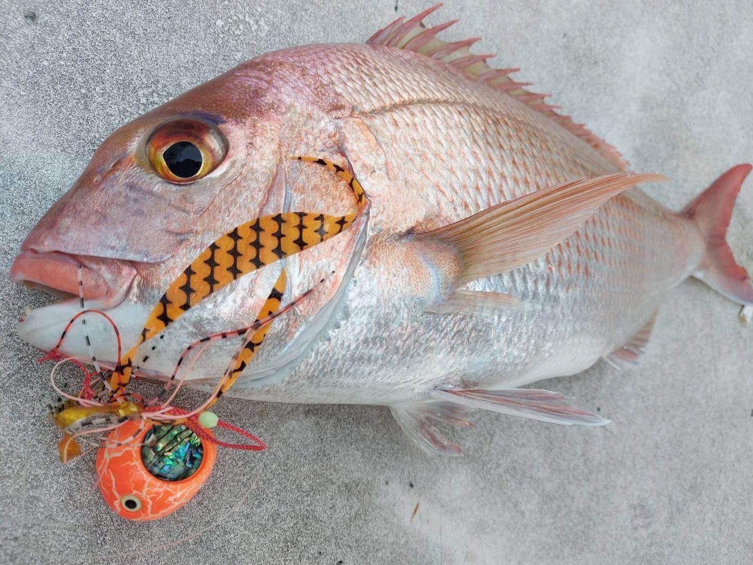 01/18游動丸&慢鐵班