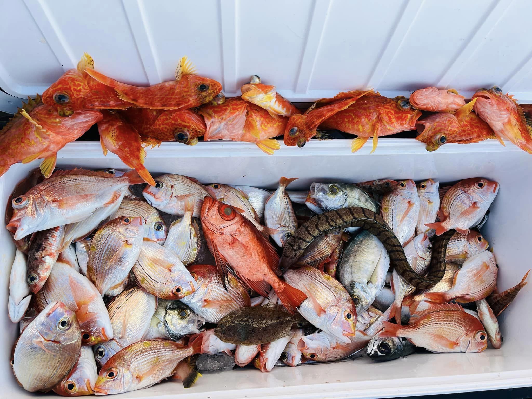 01/11白鐵赤馬班